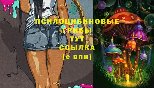 таблы Верхний Тагил